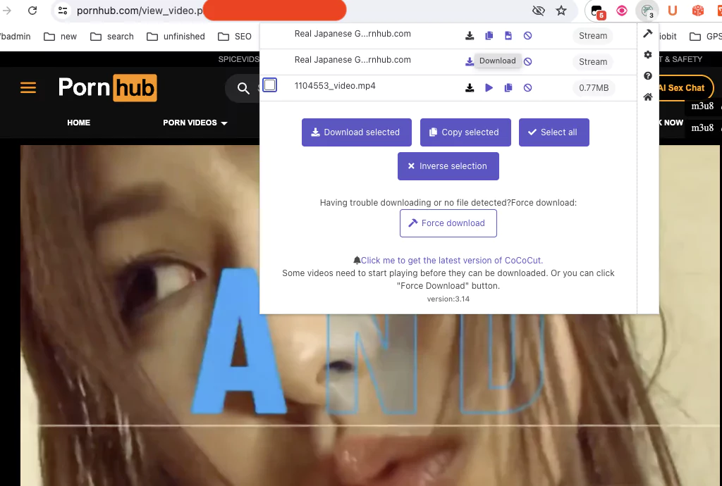 Download Pornhub Videos with Cococut Extension